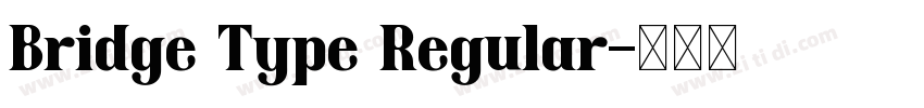 Bridge Type Regular字体转换